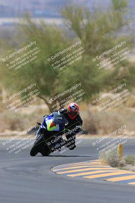 media/May-14-2023-SoCal Trackdays (Sun) [[024eb53b40]]/Turn 5 Tree of Life (1125am)/